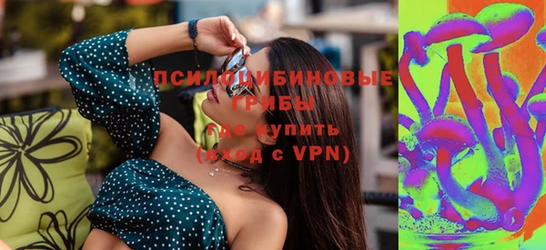 спайс Инсар