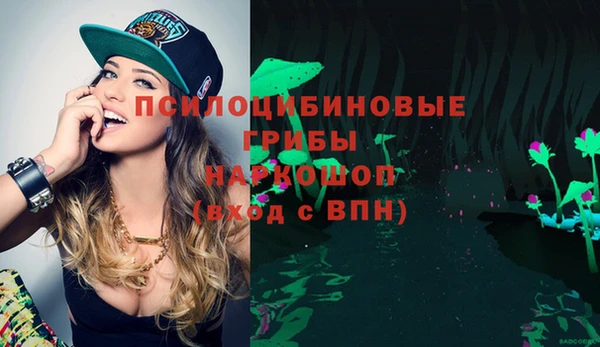 спайс Инсар