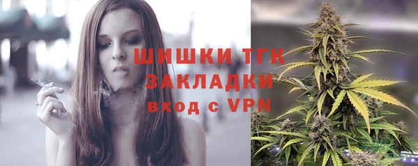 спайс Инсар