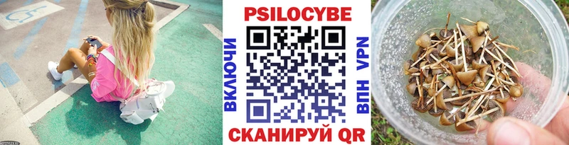 Псилоцибиновые грибы ЛСД  Купить где  Верхотурье 